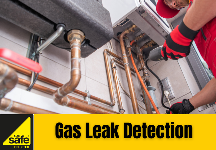 gas leak detection Bexleyheath